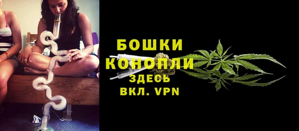 эйфоретик Богданович