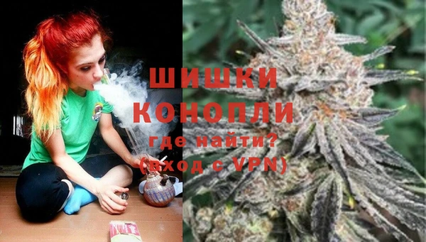 mdpv Бородино