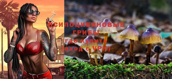 эйфоретик Богданович