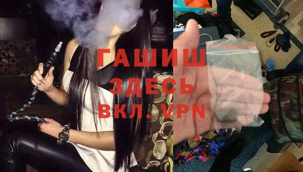 эйфоретик Богданович