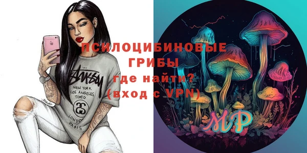 МДПВ Бугульма