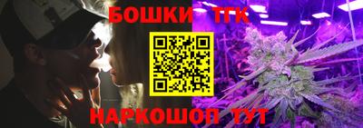 шишки Камышлов