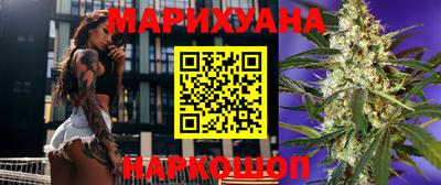 шишки Камышлов