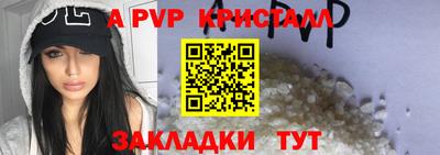 шишки Камышлов