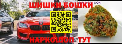 шишки Камышлов