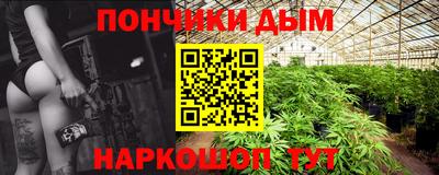 шишки Камышлов