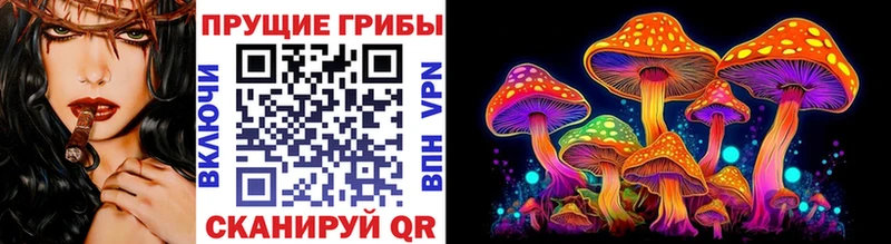 Псилоцибиновые грибы ЛСД купить сайты Свободный