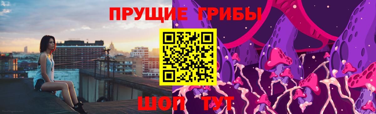 Псилоцибиновые грибы GOLDEN TEACHER  Вход с VPN  Свободный 